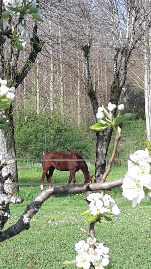 Villa Claude Cognac Eksteriør billede